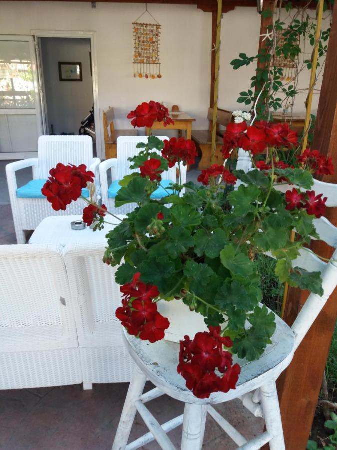 Alba Family Club Hotel Primorsko Exteriör bild