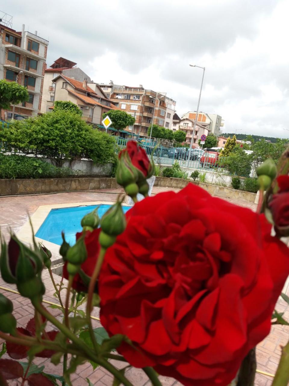 Alba Family Club Hotel Primorsko Exteriör bild