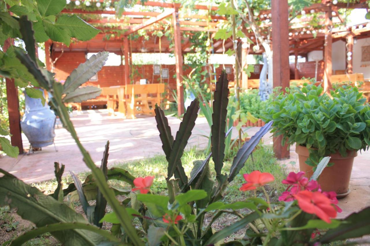 Alba Family Club Hotel Primorsko Exteriör bild