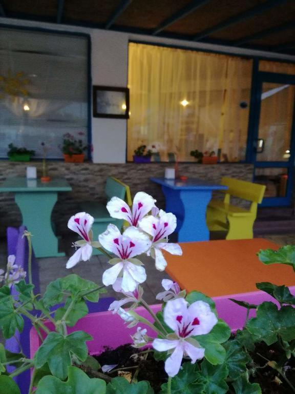 Alba Family Club Hotel Primorsko Exteriör bild